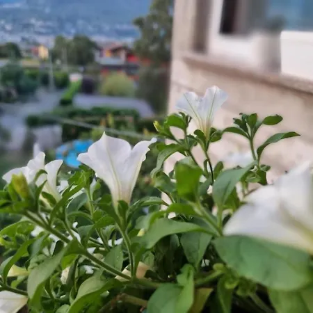 Apartment Mary House @